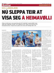 Síða 20