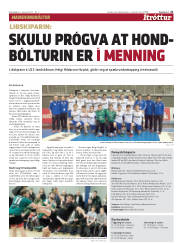 Síða 21