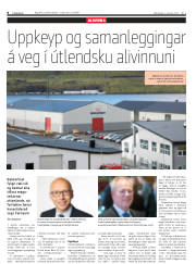 Síða 8