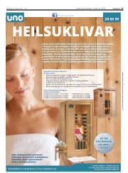 Síða 17