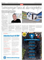 Síða 24