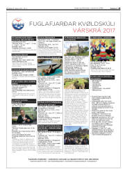 Síða 29