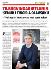 Síða 11