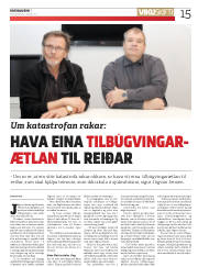 Síða 15