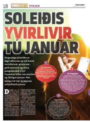 Síða 18