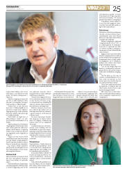 Síða 25