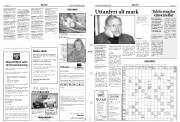 Síða 19