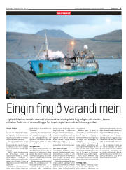 Síða 3