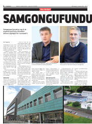 Síða 8