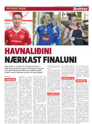Síða 17