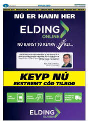 Síða 26