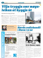 Síða 38