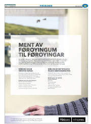 Síða 39