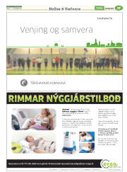 Síða 41