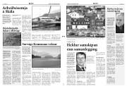 Síða 3