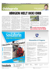 Síða 2