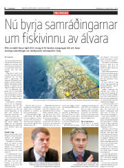 Síða 8