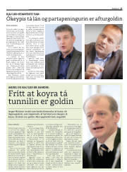 Síða 17