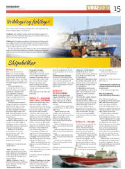 Síða 15