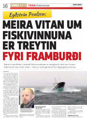 Síða 16