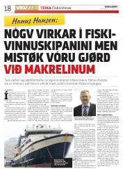 Síða 18