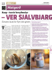 Síða 22