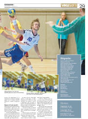 Síða 29