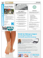 Síða 30