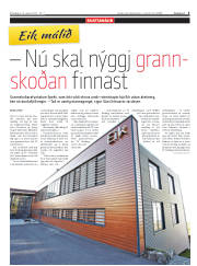 Síða 3