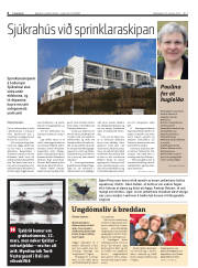Síða 6