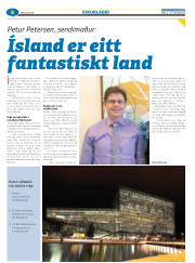 Síða 30