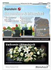 Síða 37
