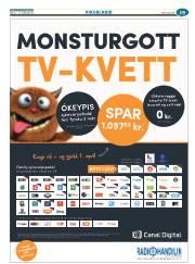 Síða 43
