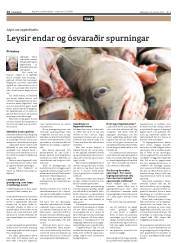 Síða 14