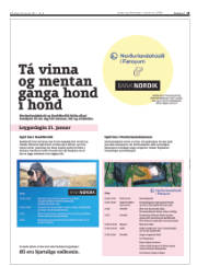 Síða 15