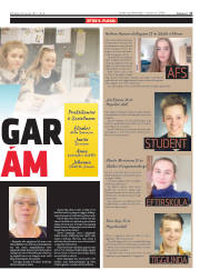 Síða 17