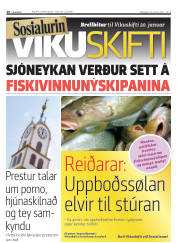 Síða 20