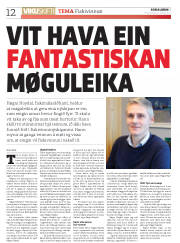 Síða 12