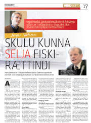 Síða 17