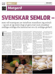 Síða 22