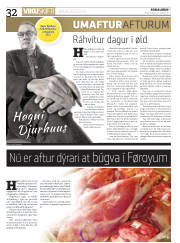 Síða 32