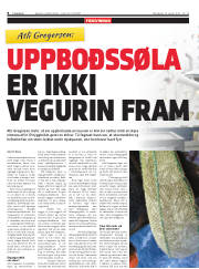 Síða 8