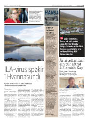 Síða 11