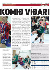 Síða 17