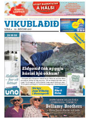 Síða 25