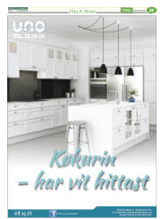 Síða 41