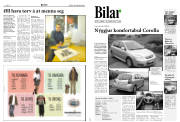 Síða 8