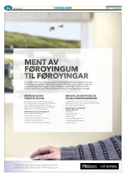 Síða 48