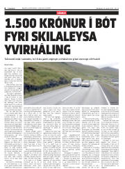Síða 6
