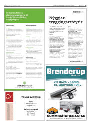 Síða 27
